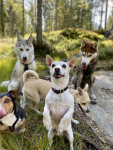 crew i skogen