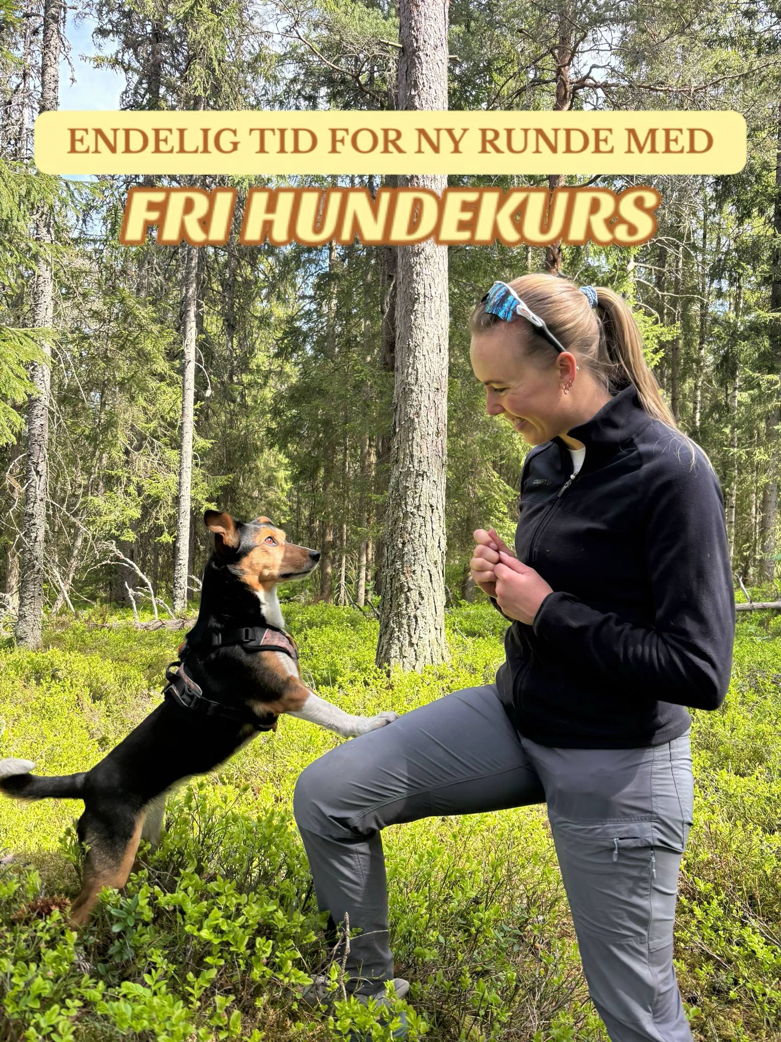 fri hundekurs